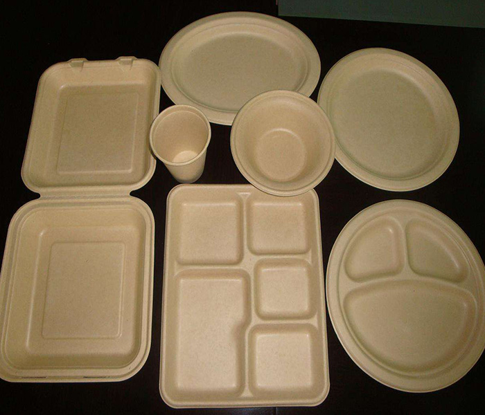 環(huán)保紙漿模塑歷來發(fā)展與應用有哪些？